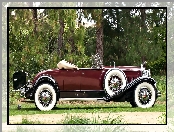 1931, Samochód, Zabytkowy, Packard, Deluxe