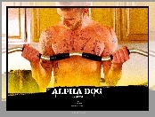 Alpha Dog, Justin Timberlake, sztanga