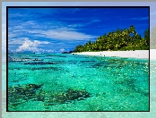 Morze, Atol Aitutaki, Wyspy Cooka, Palmy, Ocean, Plaża