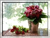 Bukiet, Bordowych, Kwiatów