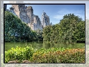 Central Park, Rzeka, Nowy Jork, Wieżowce