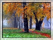 Ścieżka, Drzewa, Las, Jesień, Liście, Mgła