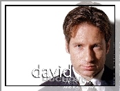 David Duchovny, koszula, krawat