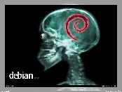 Linux Debian, rentgen, czaszka, ślimak, zawijas, muszla, grafika
