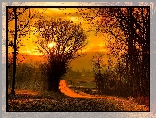 Droga, Zachód słońca, Drzewa