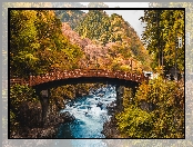 Most, Rzeka, Drzewa, Shinkyo Bridge, Japonia, Daiya River, Nikko, Góry, Jesień