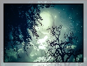 Drzewa, Niebo, Księżyc, Chmury