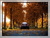 Drzewa, Jesień, Droga, Samochód, BMW