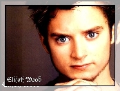 Elijah Wood, niebieskie oczy, bródka