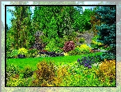 Queen Elizabeth, Vancouver, Kanada, Park, Drzewa, Krzewy, Kwiaty