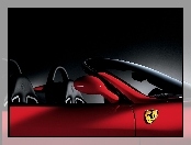 Ferrari 550, Lusterko, Drzwi