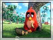 Film, Komputerowe, Angry Birds