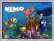 Gdzie jest Nemo, Bohaterowie, Finding Nemo