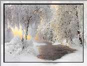 Finlandia, Oszronione, Gmina Kuhmo, Drzewa, Region Kainuu, Zima, Wschód słońca, Rzeka