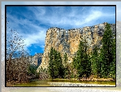 Drzewa, Stany Zjednoczone, Stan Kalifornia, Park Narodowy Yosemite, Góry