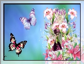 Grafika, Kolorowe, Kwiaty, Motyle, Laleczka