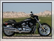Harley-Davidson Night Rod, Wersja, Chrom