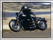 Harley Davidson Sportster XL883R, Podnki