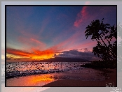 Hawaje, Palmy, Zachód słońca, Morze