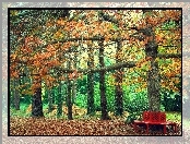 Jesień, Park, Ławka, Drzewa, Liście