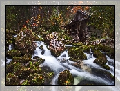 Jesień, Wodospad, Rzeka, Liście, Las, Kamienie