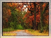 Jesień, Alejki, Park, Drzewa