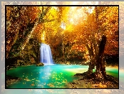 Jesień, Wodospad, Rzeka, Ryby, Drzewa