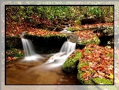 Las, Jesienią, Strumień