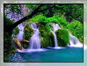 Wodospad, Jeziorko, Drzewa