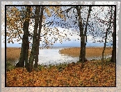 Jezioro, Jesień, Drzewa, Liście