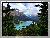 Kanada, Góry, Świerki, Prowincja Alberta, Park Narodowy Banff, Jezioro Moraine, Drzewa