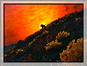 Zachód słońca, Gra, Wiedźmin 3 : Dziki Gon, Jeździec, Krajobraz