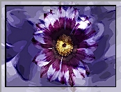 Fioletowy, Kwiatek, Grafika