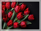 Tulipany, Kwiaty, Czarne, Czerwone, Tło
