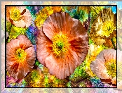 Kwiaty, Grafika, Maki, Kolorowe tło