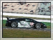 Lamborghini Gallardo, Tor, Wyścigowy