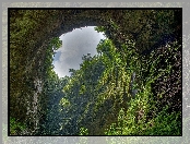 Las, Jaskinia, Deszczowy, Amazonia
