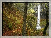 Wodospad Elowah Falls, Stany Zjednoczone, Stan Oregon, Jesień, Las
