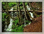 Las, Kładka, Wodospady, Drewniana