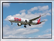 LATAM Airlines Brasil, Samolot pasażerski, Boeing 787-9, Linie lotnicze, TAM Linhas Aereas