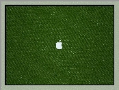 Logo, Tekstura, Apple, Zielona