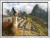 Machu Picchu, Lama, Chmury