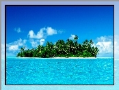 Morze, Malediwy, Wyspa, Palmy