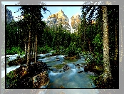 Park Narodowy Banff, Kanada, Góry, Las, Rzeka