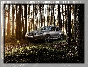 Nissan Terrano, 2016, Drzewa
