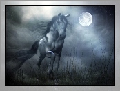 Noc, Galop, Księżyc, Koń