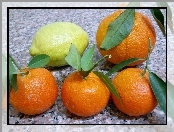 Owoce, Pomarańcze, Cytrusowe, Cytryna