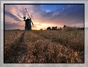 Great Haseley, Wiatrak, Pole, Anglia, Zachód słońca, Hrabstwo Oxfordshire