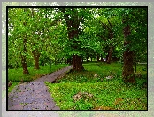 Park, Latarnia, Drzewa, Alejka