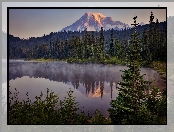 Park Narodowy Mount Rainier, Szczyt Mount Rainier, Mgła, Góra, Świerki, Drzewa, Jezioro Reflection Lakes, Stan Waszyngton, Stany Zjednoczone, Las